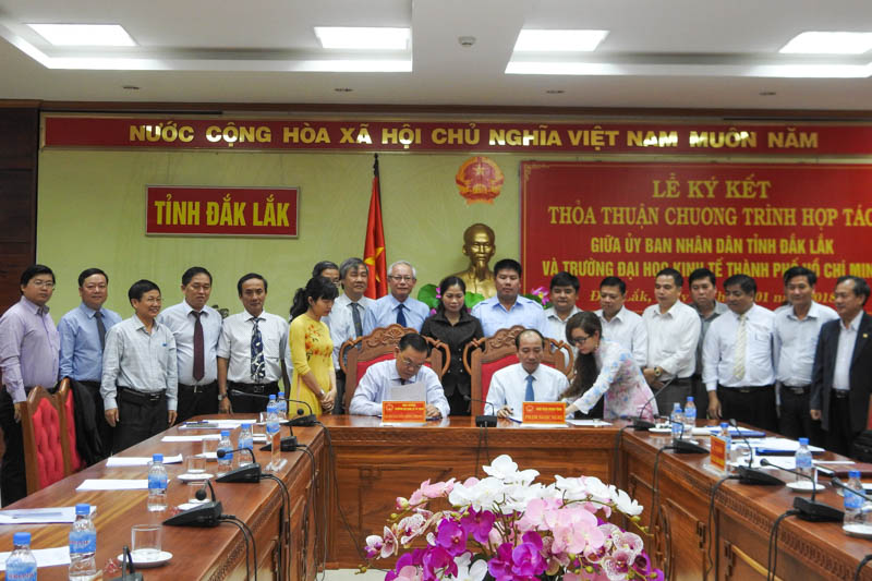 cá cược thể thao hul city